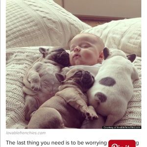 Meet your Posher, Thao